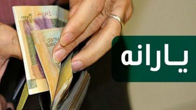 تحلیل جامع حذف یارانه غیرمستحق‌ها: واکاوی شاخص‌های جدید و نقش پرچالش وزارت امور خارجه