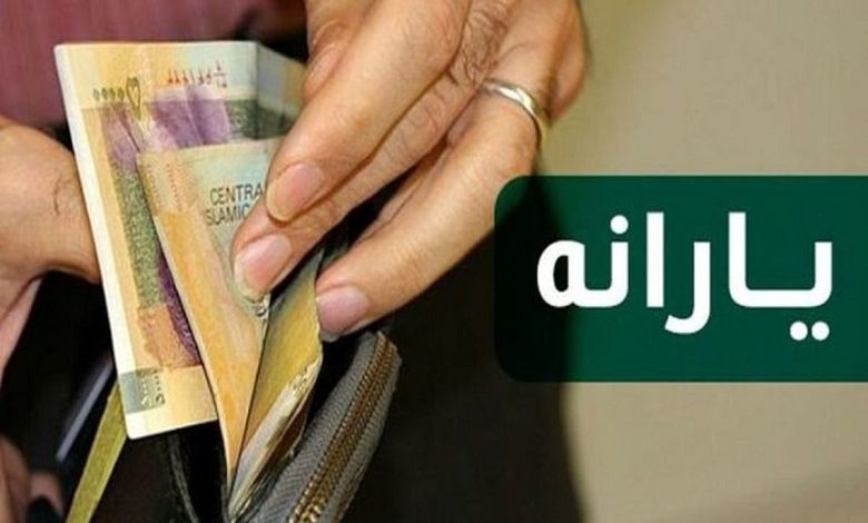 تحلیل جامع حذف یارانه غیرمستحق‌ها: واکاوی شاخص‌های جدید و نقش پرچالش وزارت امور خارجه
