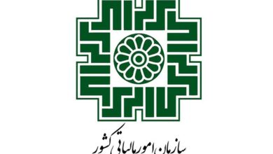 نشان‌دار کردن مالیات‌ها: کلید مشارکت فعال مؤدیان در توسعه پایدار ایران